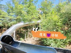 景点-欢乐松鼠谷