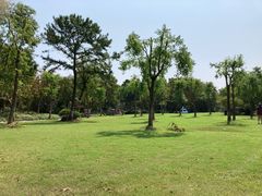 -上海海湾国家森林公园