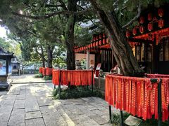 -秋霞圃