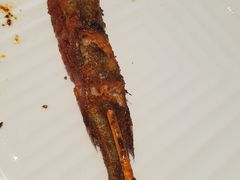 -羊门客在·烤盐池滩羊·川菜