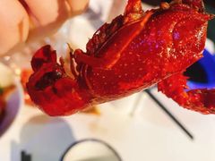 油爆虾-老长沙龙虾馆·聚会餐厅(白石洲店)