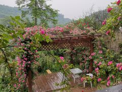-玫瑰庄园·自助烧烤·烤全羊·团建拓展(龙泉山店)