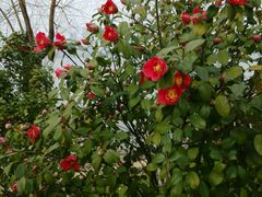 -艾溪湖湿地公园