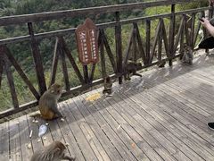 -重庆云阳龙缸景区