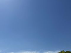 -洛阳市隋唐城遗址植物园