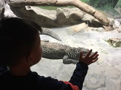 -上海大自然野生昆虫馆(东方明珠·爬宠昆虫探索中心)