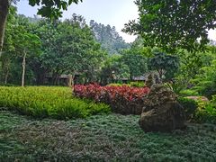 -顺峰山公园