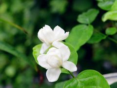 -南京金牛湖风景区