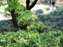-杭州黄龙洞