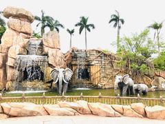 -美的鹭湖探索王国