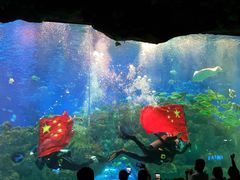 -芜湖新华联大白鲸海洋公园