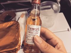 -达拉斯 沃斯堡国际机场