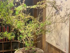 -邈墨茶馆(大兜路1号店)