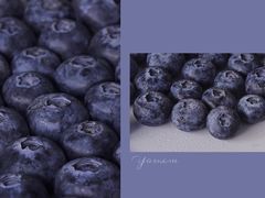 -细村农贸综合市场