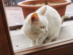 -无名小酒馆·湖北私房菜(昙华林店)