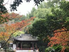 -汇龙潭