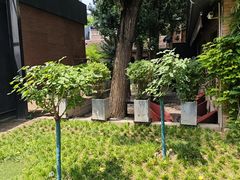 -西安电影制片厂