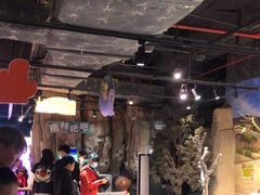 -正佳雨林生态植物园