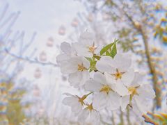 -东湖生态旅游风景区
