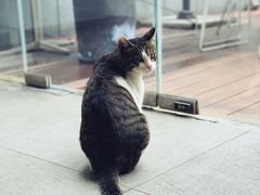 -UNI UNI(环亚凯瑟琳店)