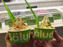 -Salud撒露欧洲冻酸奶(蓝色港湾店)