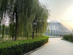 -二十一世纪饭店-游泳馆