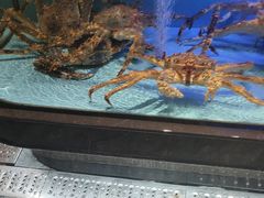 -阿伟海鲜楼·福建菜(延寿店)