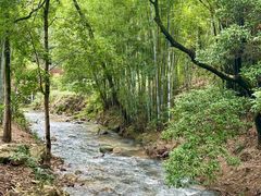 -世间香境·七溪地