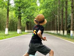 -黄海国家森林公园