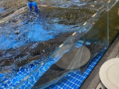 -半岛听涛蒸汽海鲜自助(K11店)