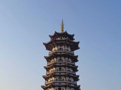 -洋湖国家湿地公园