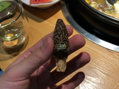 -一朵菌·野生菌探索家火锅(南亚店)