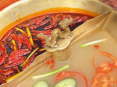 -小龙翻大江文化火锅(宽窄店)
