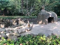 -上海野生动物园