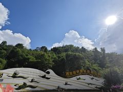 -西双版纳原始森林公园