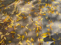 -西安电子科技大学-海棠餐厅