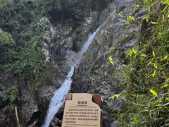 -霸王岭国家森林公园