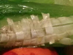 android_upload_pic-九转小磨·非遗东北菜(哈西万达店)