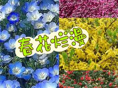 -上海滨江森林公园