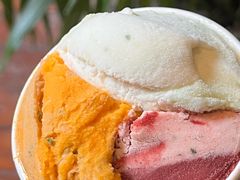 -Dip in Gelato(富民路店)