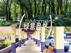 -马王堆汉墓遗址