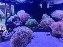 -海合安武汉极地海洋公园