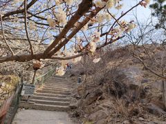 -崂山九水游览区