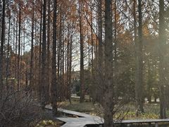 -国家植物园南园