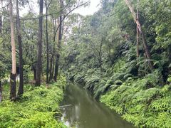 -李小龙乐园(顺德均安店)