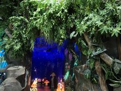 -萌宠奇缘(荣鼎店)