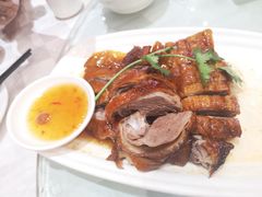-优之名鹅城