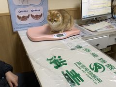-瑞派宠物医院·24h·骨外科·皮肤科·全科宠物医疗转诊中心(沈阳浑南院)