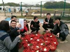 -胜丰草莓采摘园