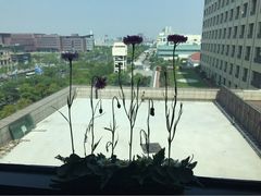 菩提树素食餐厅-菩提树·素食餐厅(汇智国际商业中心店)